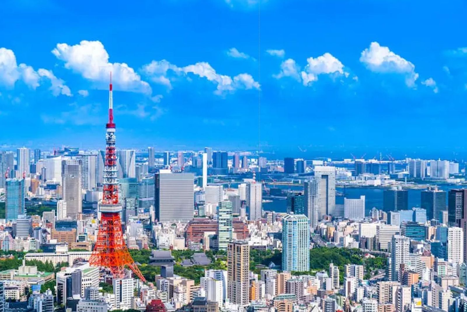 国内外110カ国のネットワークがもたらす、圧倒的な未公開情報量